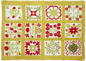 American Quilt Classics Exhibit @ Bellevue Arts Museum | Bellevue WA